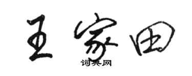 骆恒光王家田行书个性签名怎么写