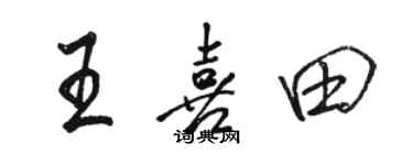 骆恒光王喜田行书个性签名怎么写