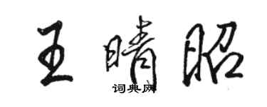 骆恒光王晴昭行书个性签名怎么写
