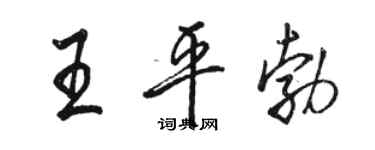 骆恒光王平勃行书个性签名怎么写