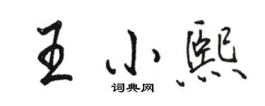 骆恒光王小熙行书个性签名怎么写