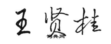 骆恒光王贤桂行书个性签名怎么写