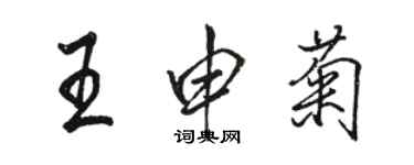 骆恒光王申菊行书个性签名怎么写