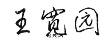骆恒光王宽园行书个性签名怎么写