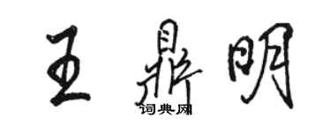 骆恒光王鼎明行书个性签名怎么写