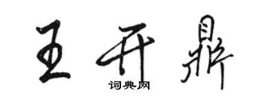 骆恒光王开鼎行书个性签名怎么写