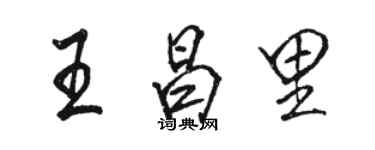 骆恒光王昌里行书个性签名怎么写