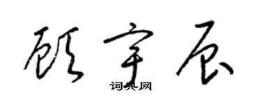 梁锦英顾宇辰草书个性签名怎么写