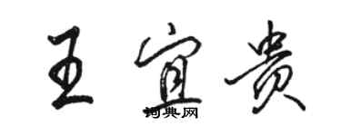 骆恒光王宜贵行书个性签名怎么写
