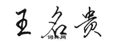骆恒光王名贵行书个性签名怎么写