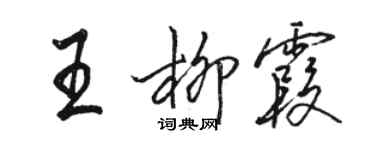 骆恒光王柳霞行书个性签名怎么写