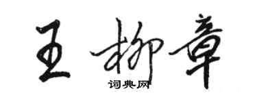 骆恒光王柳章行书个性签名怎么写