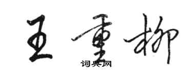 骆恒光王重柳行书个性签名怎么写