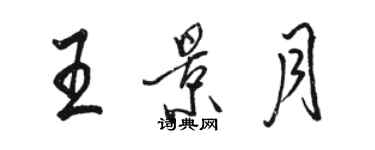 骆恒光王景月行书个性签名怎么写