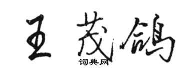 骆恒光王茂鸽行书个性签名怎么写