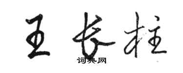骆恒光王长柱行书个性签名怎么写