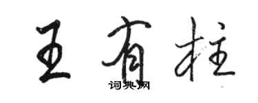 骆恒光王有柱行书个性签名怎么写