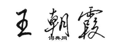骆恒光王朝霞行书个性签名怎么写