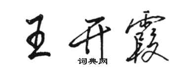骆恒光王开霞行书个性签名怎么写