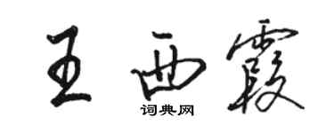 骆恒光王西霞行书个性签名怎么写