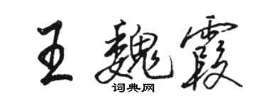 骆恒光王魏霞行书个性签名怎么写