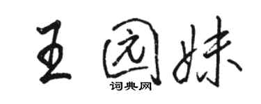 骆恒光王园妹行书个性签名怎么写