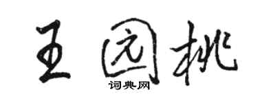 骆恒光王园桃行书个性签名怎么写
