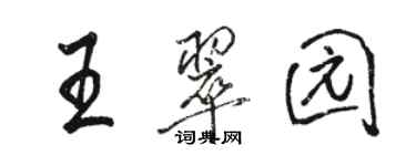 骆恒光王翠园行书个性签名怎么写