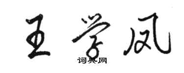 骆恒光王学凤行书个性签名怎么写