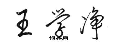 骆恒光王学净行书个性签名怎么写