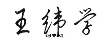 骆恒光王纬学行书个性签名怎么写