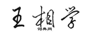 骆恒光王相学行书个性签名怎么写