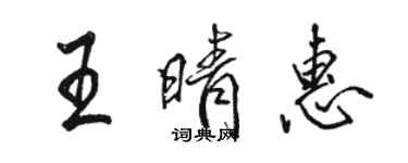 骆恒光王晴惠行书个性签名怎么写