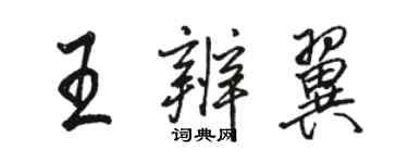 骆恒光王辨翼行书个性签名怎么写