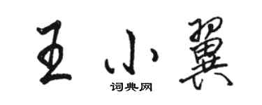 骆恒光王小翼行书个性签名怎么写