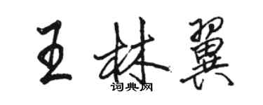 骆恒光王林翼行书个性签名怎么写