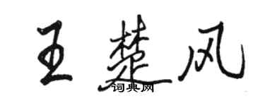 骆恒光王楚风行书个性签名怎么写