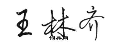 骆恒光王林齐行书个性签名怎么写