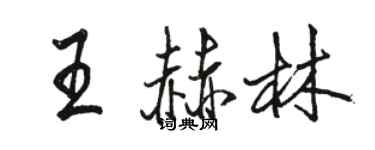 骆恒光王赫林行书个性签名怎么写