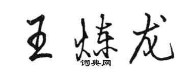 骆恒光王炼龙行书个性签名怎么写