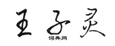 骆恒光王子灵行书个性签名怎么写