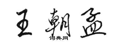 骆恒光王朝孟行书个性签名怎么写