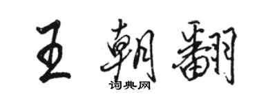 骆恒光王朝翻行书个性签名怎么写