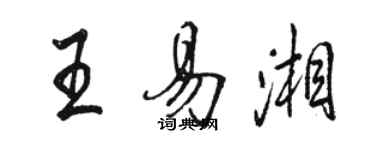 骆恒光王易湘行书个性签名怎么写