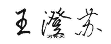 骆恒光王澄苏行书个性签名怎么写