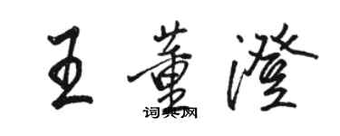 骆恒光王董澄行书个性签名怎么写
