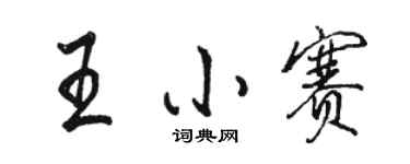 骆恒光王小赛行书个性签名怎么写