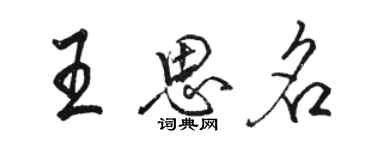 骆恒光王思名行书个性签名怎么写