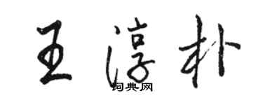 骆恒光王淳朴行书个性签名怎么写