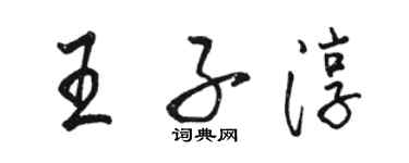 骆恒光王子淳行书个性签名怎么写
